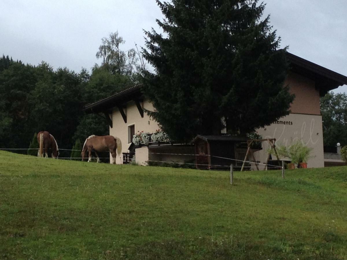 Appartements Kroell, Joker Card In Summer Included! Saalbach-Hinterglemm Exterior foto